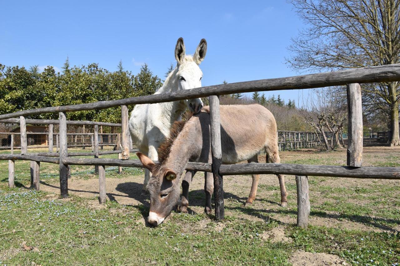 Venicegreen Agriresort Tessera Kültér fotó